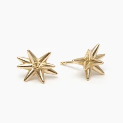 New Betsy & Iya Floreo stud earrings