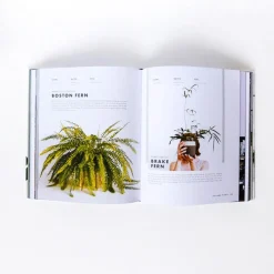 Sale Betsy & Iya Leaf Supply - The Indoor Plant Guide