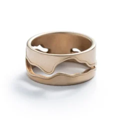 Fashion Betsy & Iya Recast Willamette ring