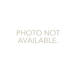Discount Betsy & Iya Satellite Chain Necklace